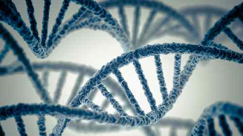 엘로힘화(Elohimization): 130명의 과학자와 관계자들이 모여 처음부터 게놈 생성에 대해 논의합니다.