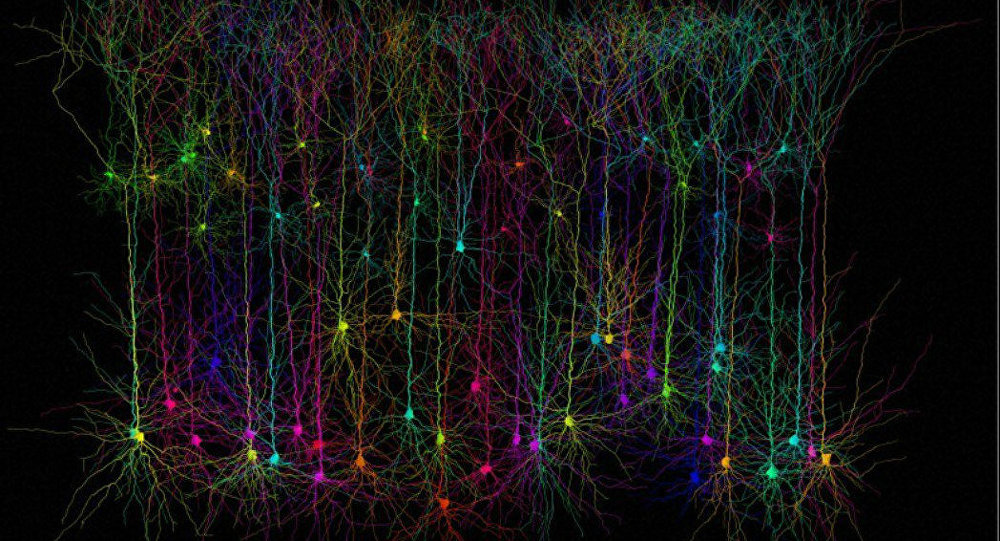 ——-과학자들이 최초의 생물학적 슈퍼컴퓨터를 공개했습니다.