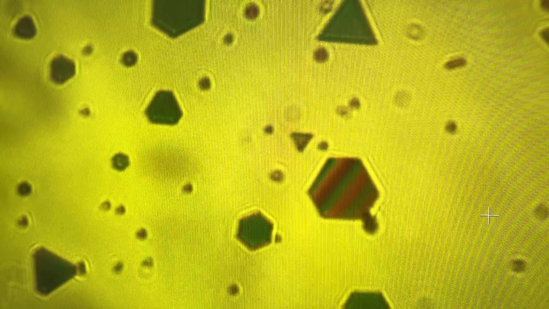 금 조각은 우리 세계를 하나로 묶는 비밀 세력을 드러냅니다.
