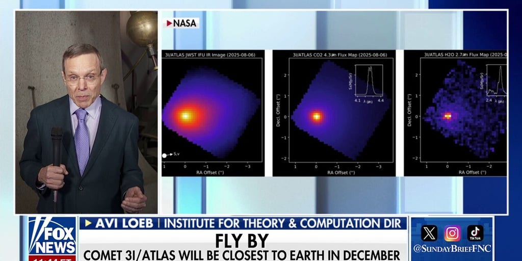 하버드 교수, 신비한 우주 물체의 기원에 무게를 두다