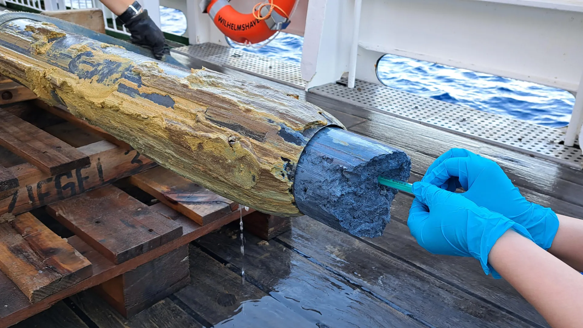 과학자들이 불가능하다고 생각했던 곳에서 생명체 발견