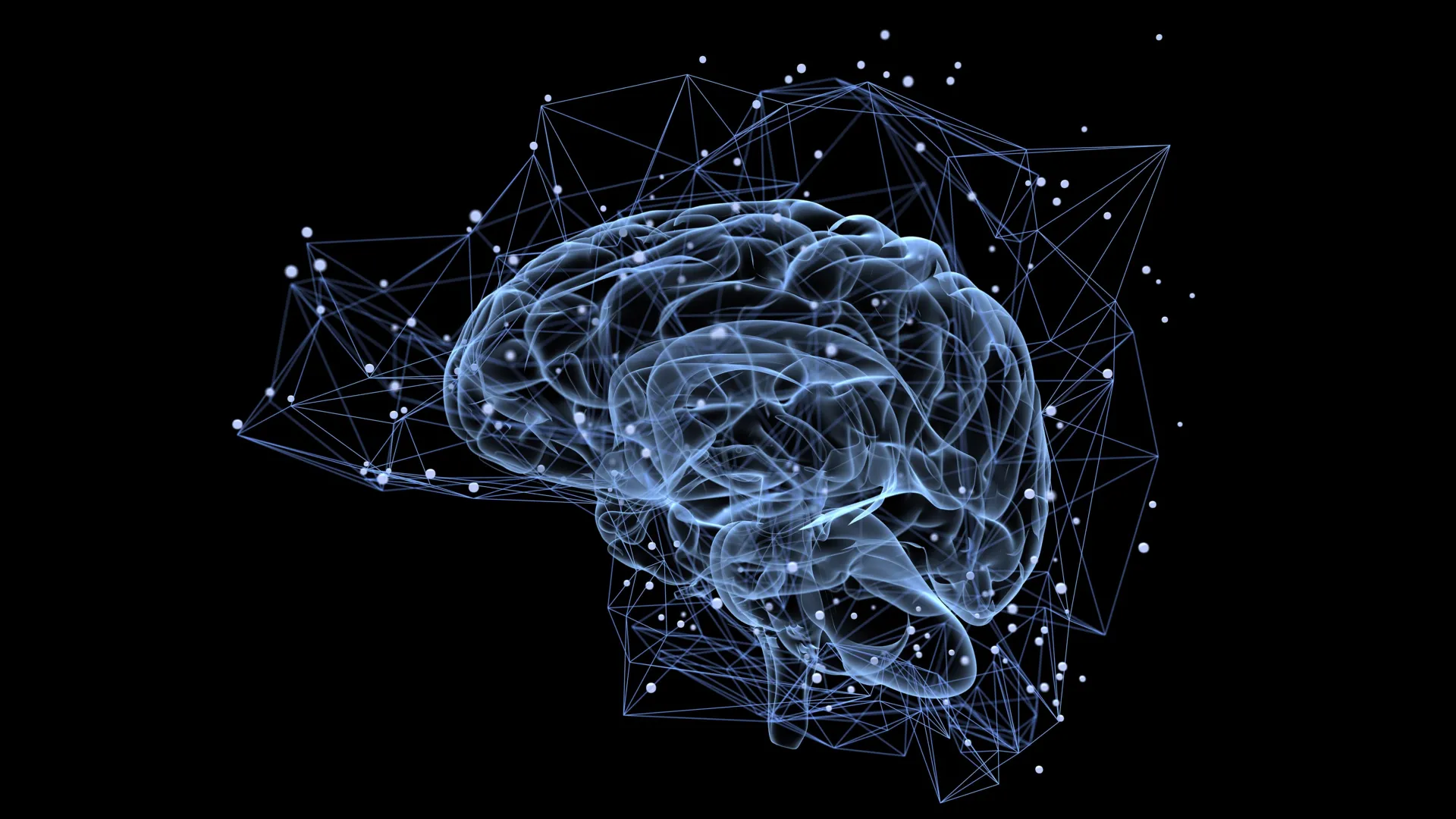 과학자들이 시각을 다시 쓰는 숨겨진 뇌 회로를 발견했습니다