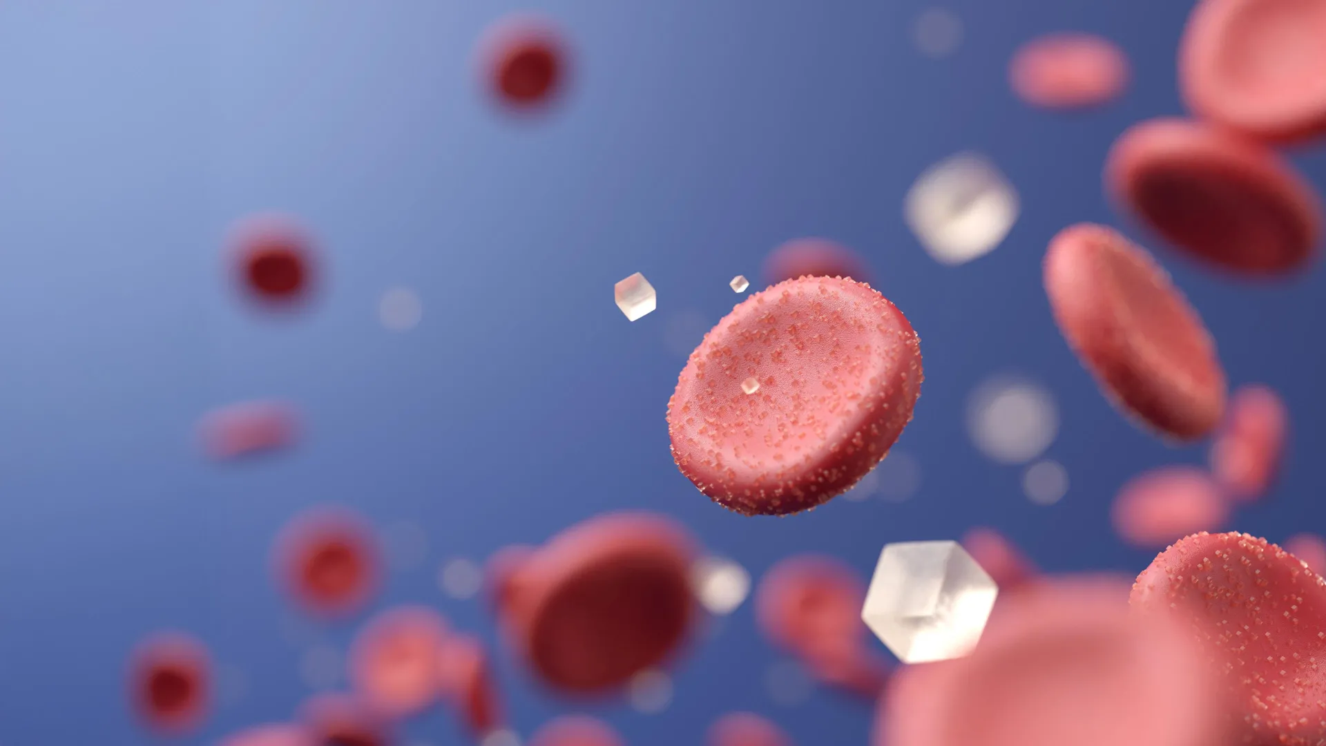 희귀한 사막 베리가 당뇨병 치료를 변화시킬 수 있습니다