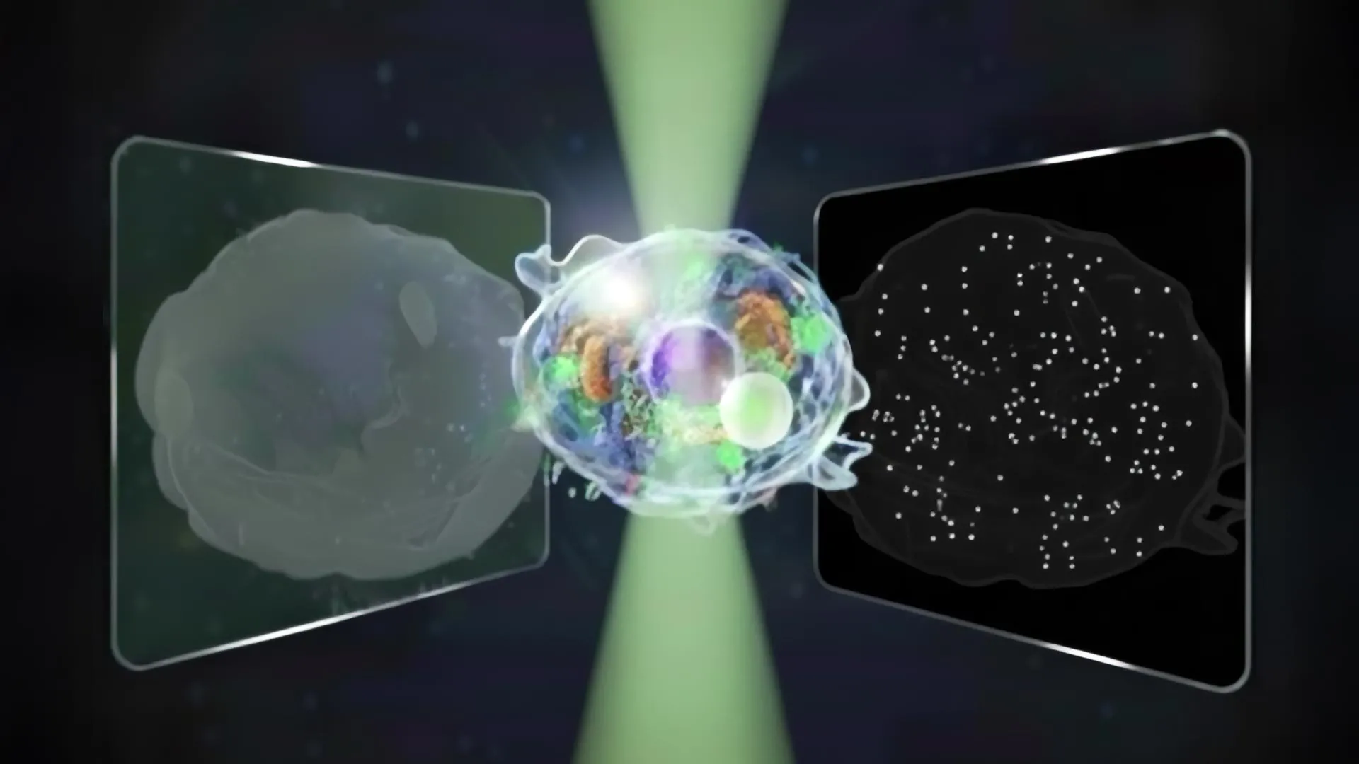 마이크로와 나노의 세계를 한 눈에 보여주는 ‘대형통합현미경’