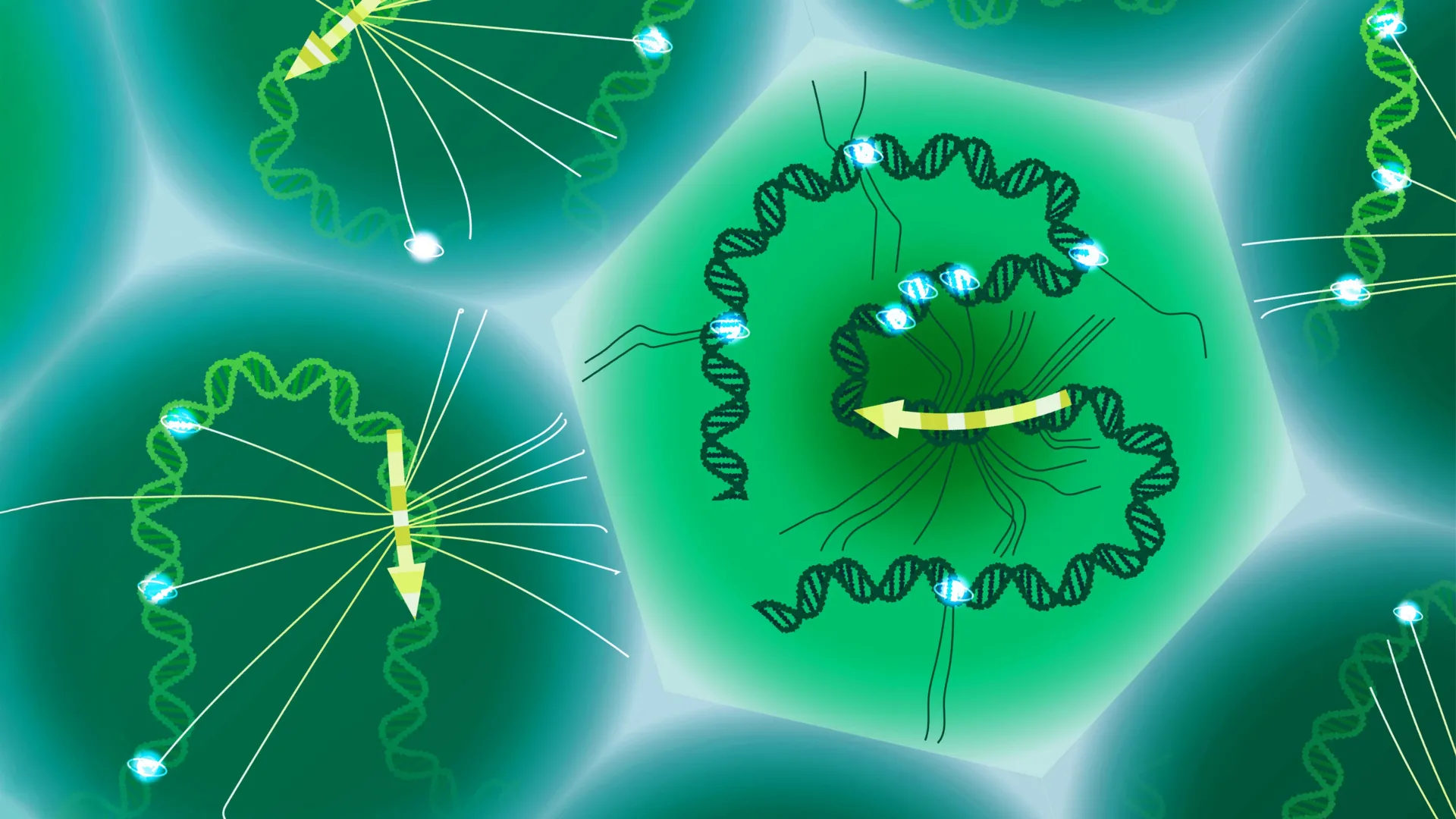 과학자들이 마침내 질병을 형성하는 숨겨진 DNA 코드를 읽었습니다.