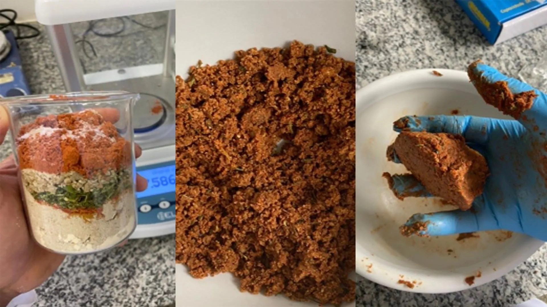 해바라기가 미래가 될 수도 있다 "비건 고기"