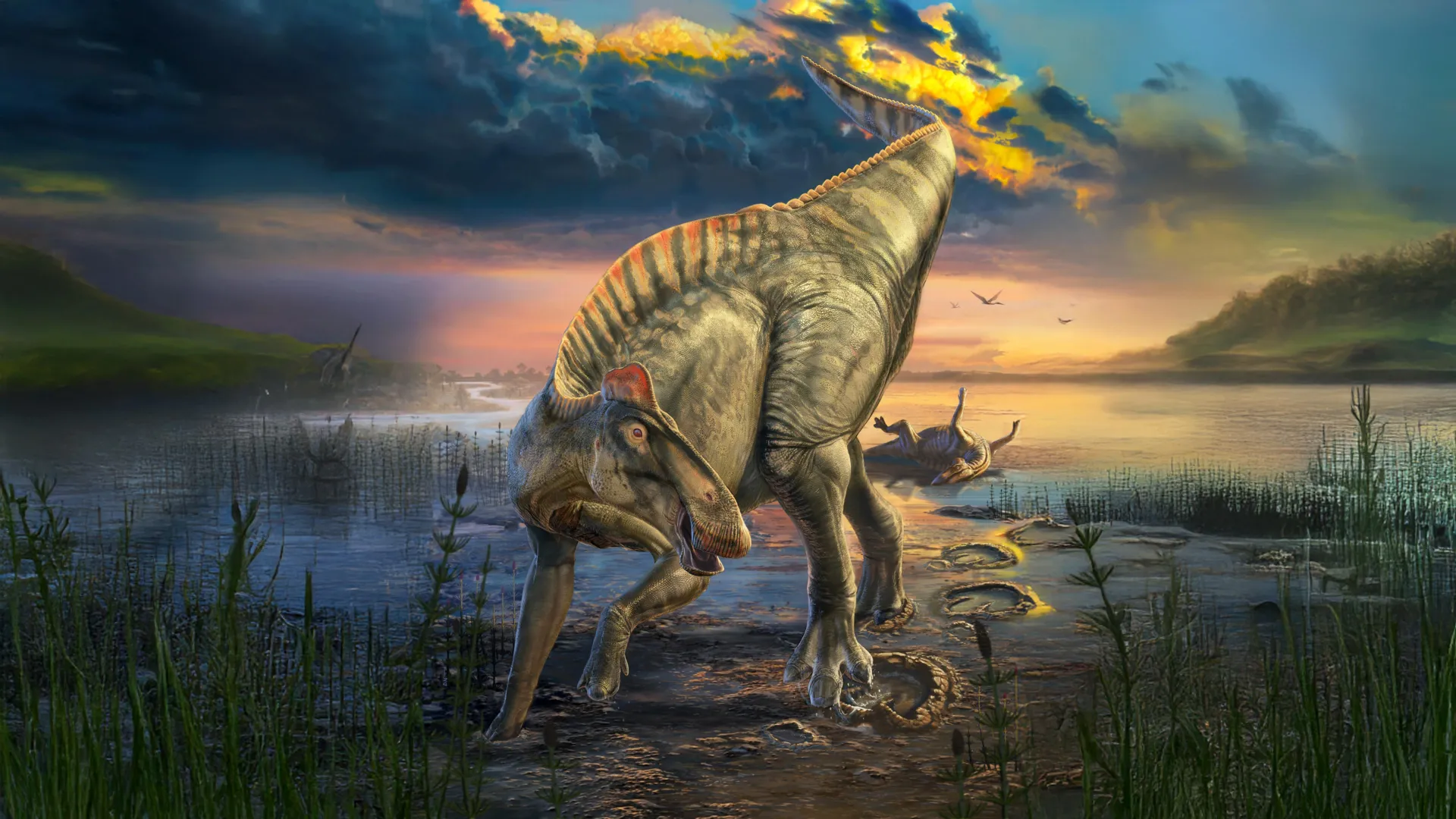 발굽과 숨겨진 문장이 있는 공룡 미라 발견