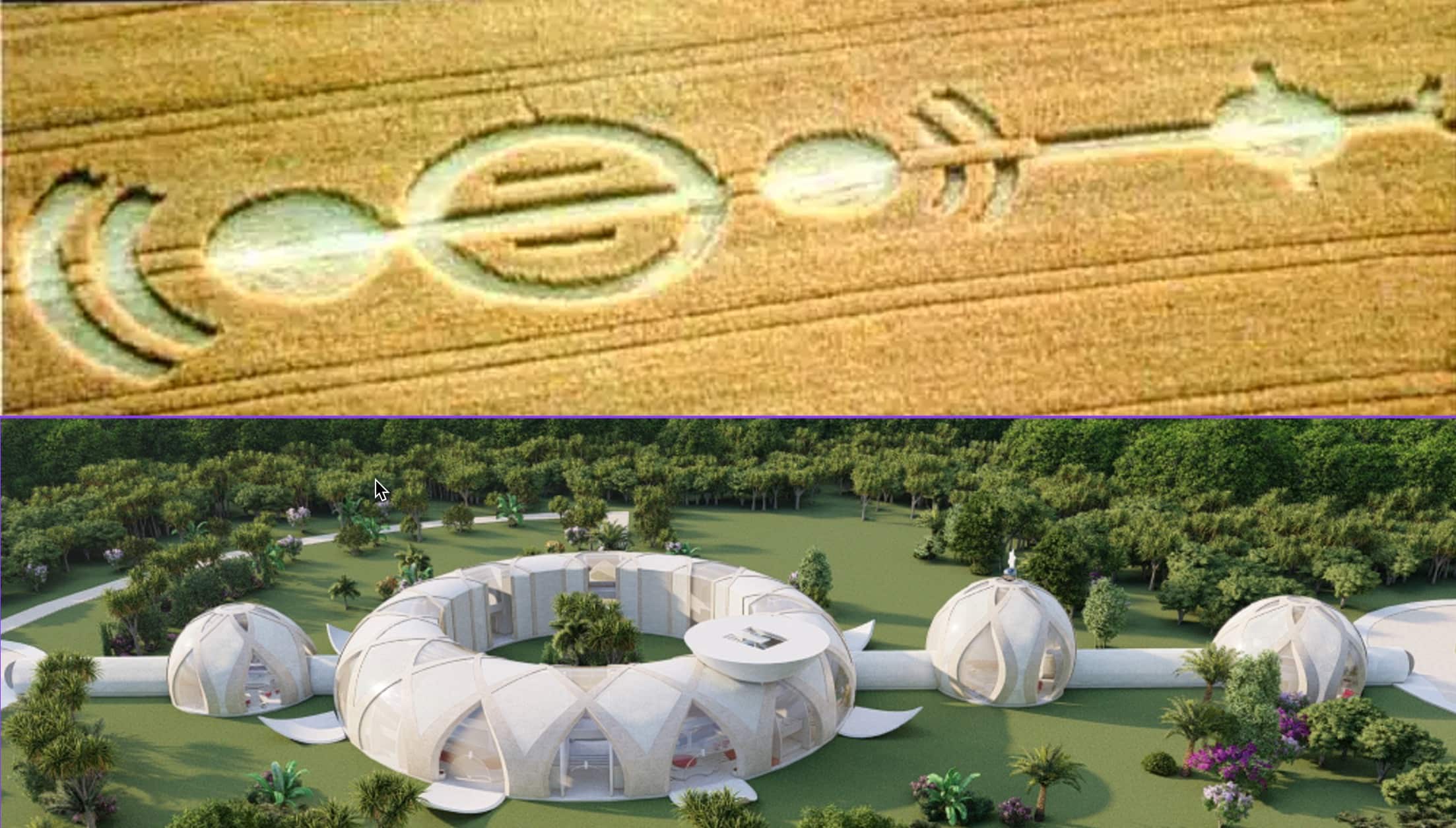 미스터리 서클의 미스터리가 마침내 풀렸습니다… 폭로된 내용은 충격적입니다!