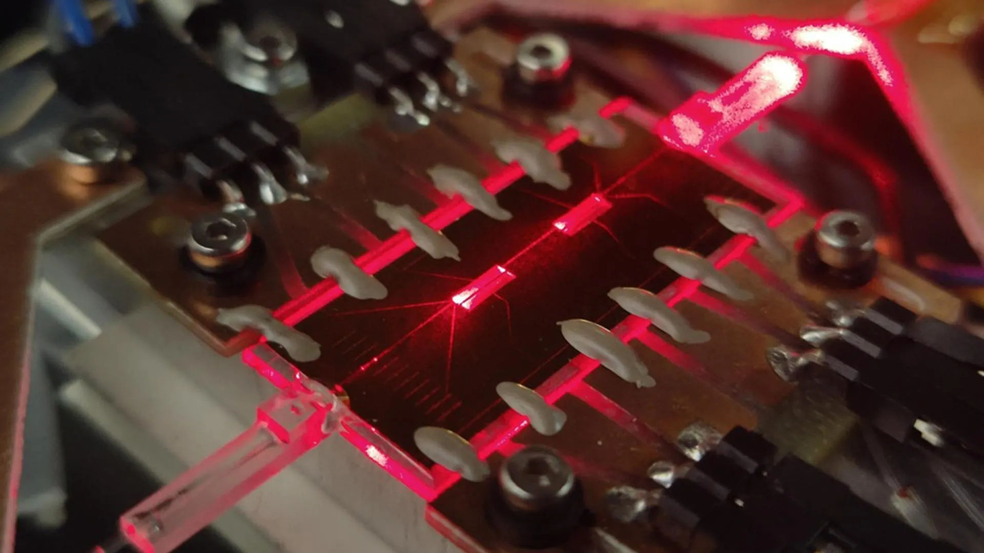 물리학자들은 유리를 강력한 양자 보안 장치로 바꾸었습니다.