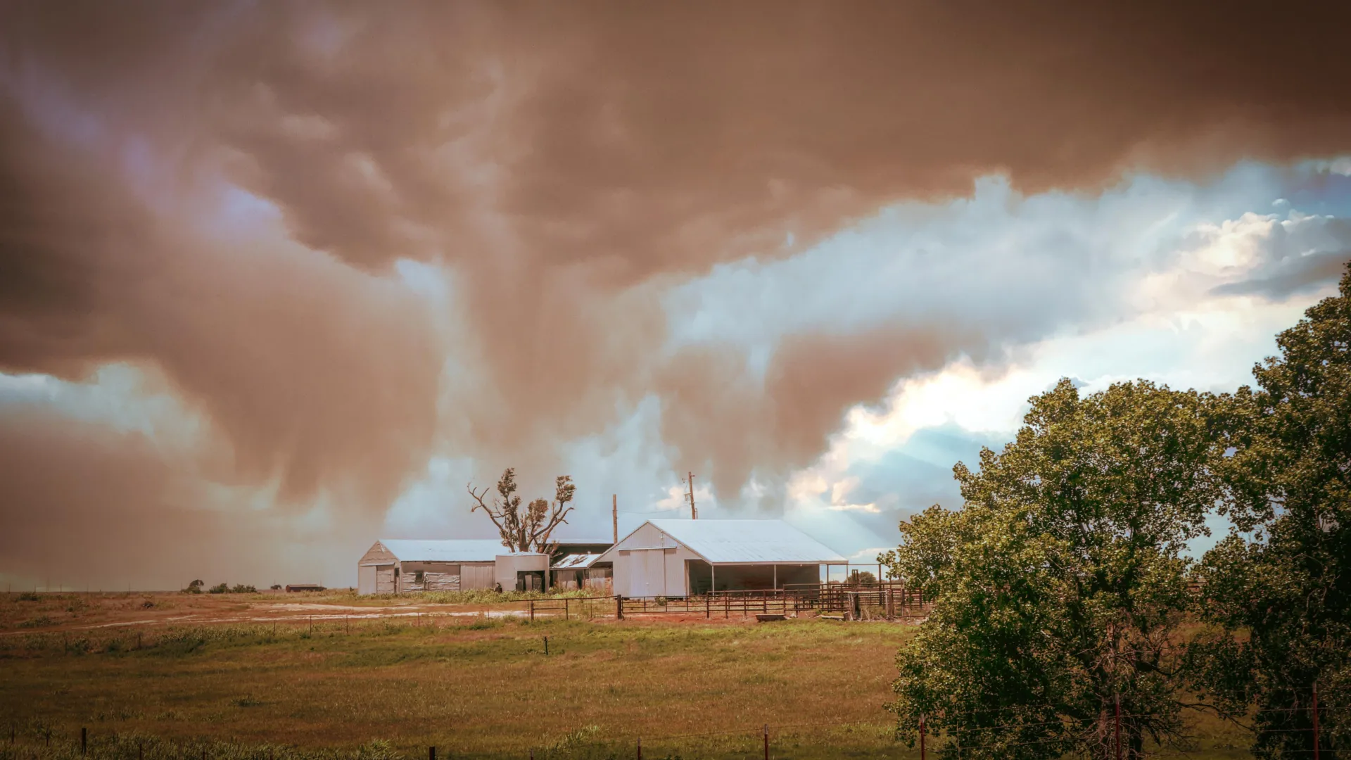 미국에서 처음으로 특이한 공기 중 독소가 검출되었습니다