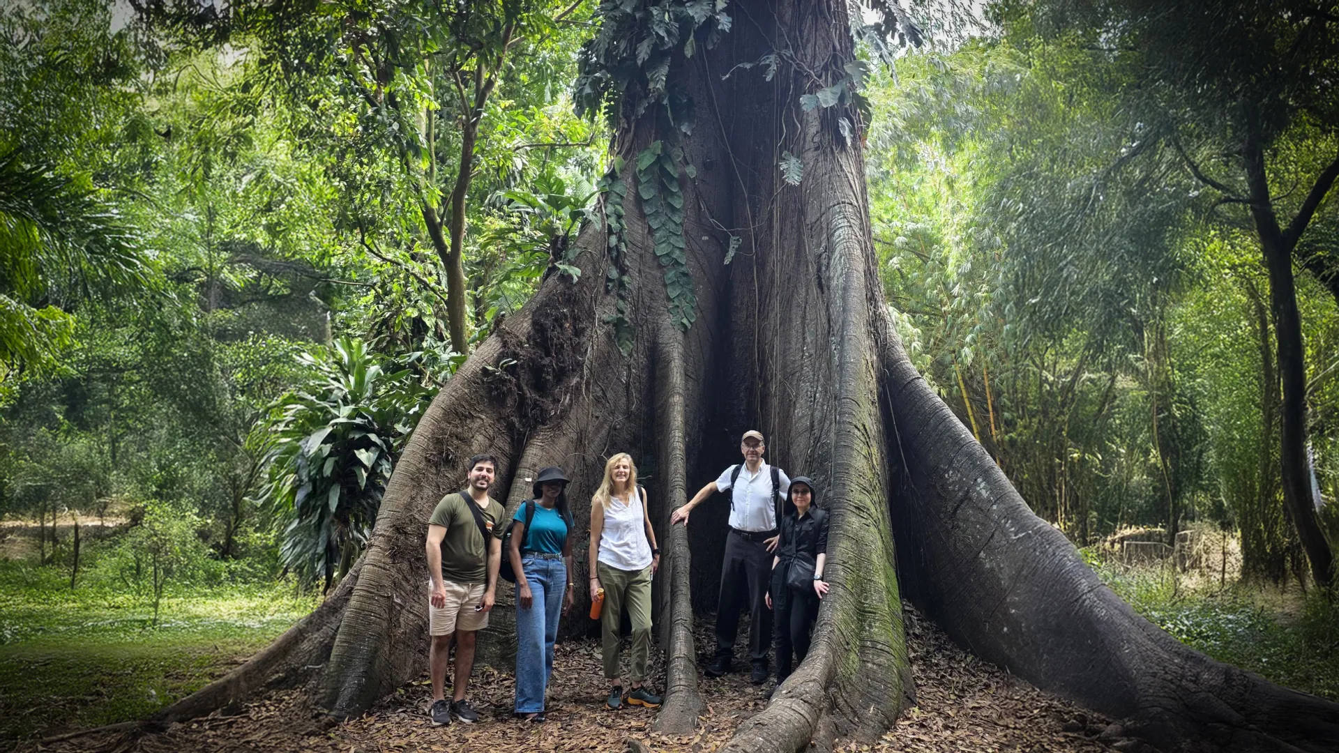 아프리카의 숲은 탄소 흡수원에서 탄소원으로 바뀌었습니다.