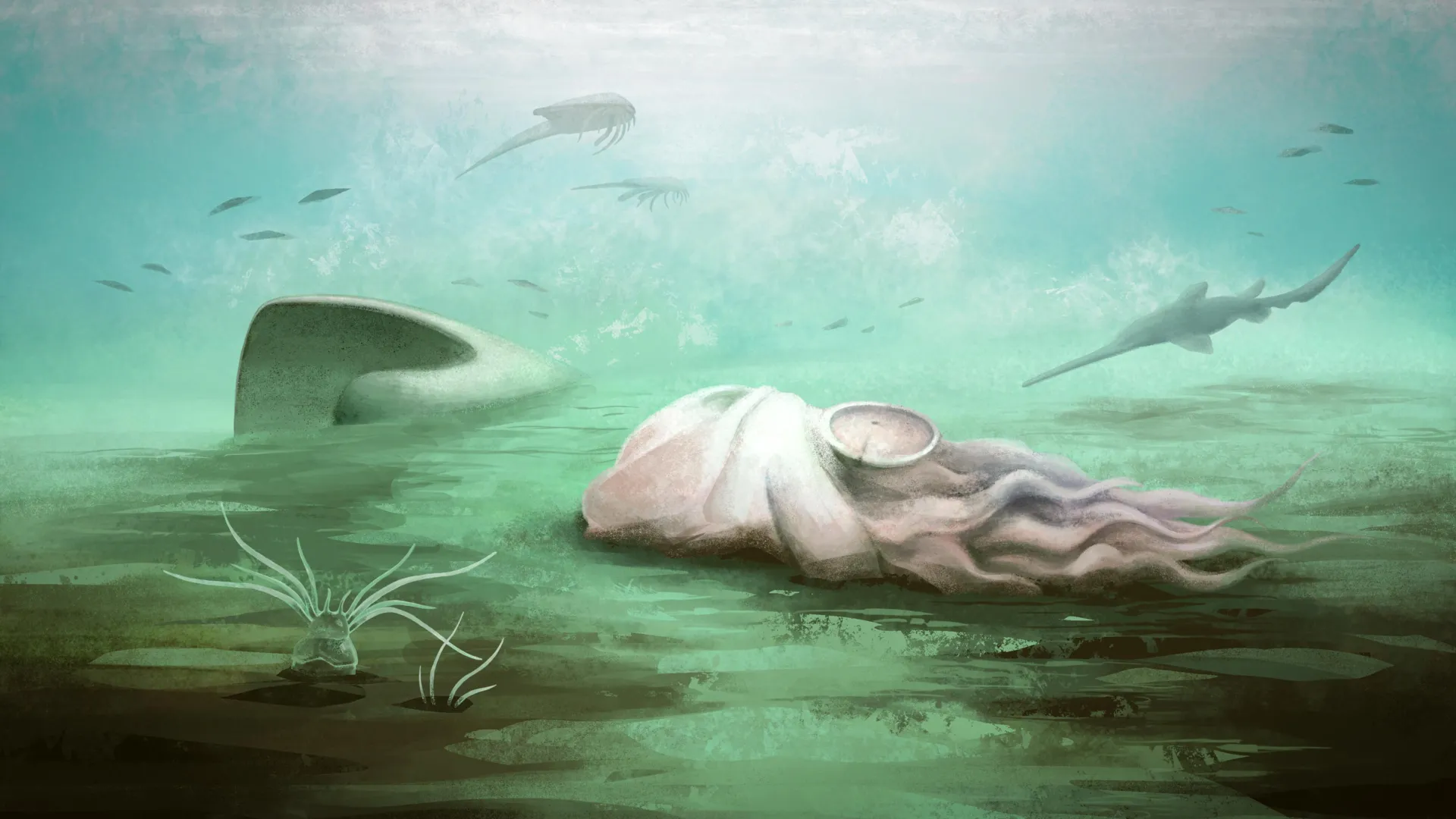 세계에서 가장 오래된 문어는 결코 문어가 아니었습니다.